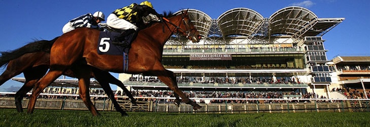 newmarket-guineas-meeting-festival